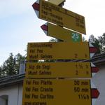 Wegweiser in Sils-Maria 1809 m.ü.M.