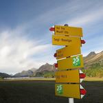 ...dem Wegweiser zum Muott' Ota bzw. Val Fex...