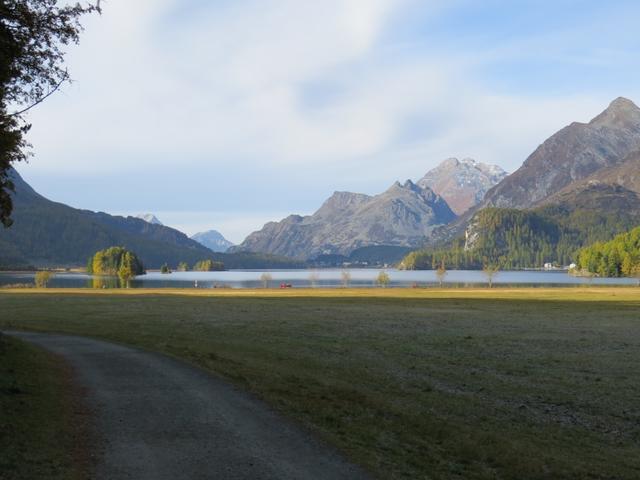 Blick zum schönen Silsersee