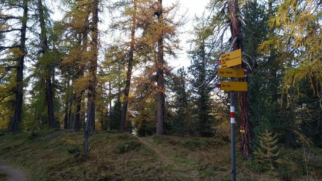 nach einem kurzen Aufstieg treffen wir auf die nächste Kreuzung