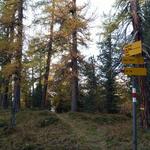 nach einem kurzen Aufstieg treffen wir auf die nächste Kreuzung