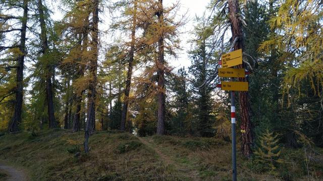 nach einem kurzen Aufstieg treffen wir auf die nächste Kreuzung