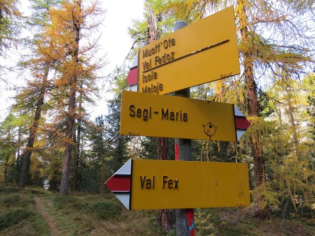 wir folgen dem Wegweiser nach rechts Richtung Muott' Ota bzw. Val Fedoz