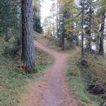 diese Richtung behalten wir auch an weiteren Abzweigen bei