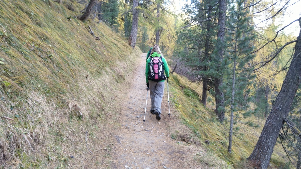 der Weg steigt leicht im lichten Wald an, erst oberhalb des Silsersees...