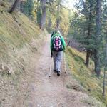 der Weg steigt leicht im lichten Wald an, erst oberhalb des Silsersees...