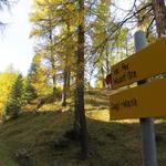 ...dann wendet er sich langsam ins Val Fex