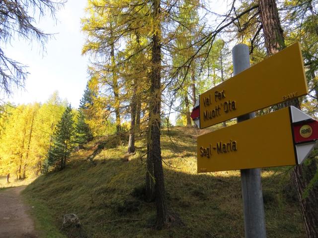 ...dann wendet er sich langsam ins Val Fex