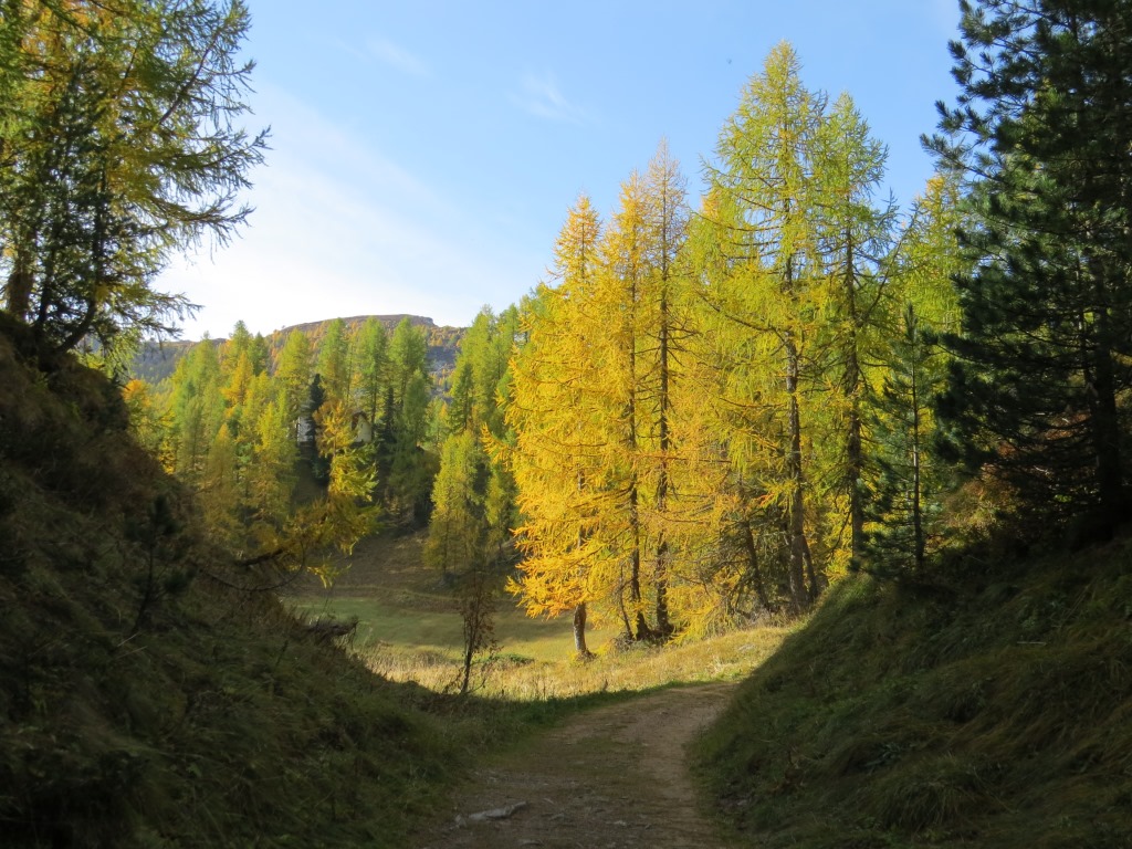 wir blicken hinauf zum Muott Ota