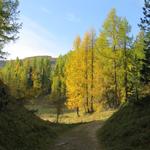 wir blicken hinauf zum Muott Ota