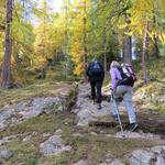 wir durchqueren den langgezogenen Wald von Laret