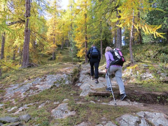 wir durchqueren den langgezogenen Wald von Laret
