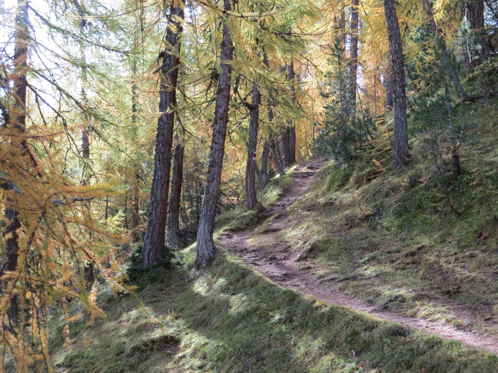 in diesem Wirrwarr von Wanderwegen, muss man immer die Richtung Muott' Ota einhalten