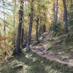 in diesem Wirrwarr von Wanderwegen, muss man immer die Richtung Muott' Ota einhalten