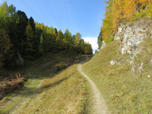an einer Einsattelung oberhalb von Vaüglia 1937 m.ü.M....