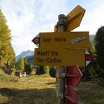 ...trennen sich die Wege ins Val Fedoz und auf den Muott' Ota