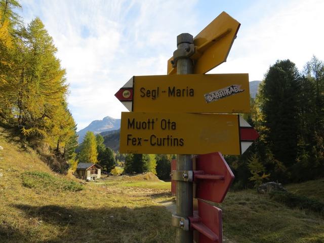 ...trennen sich die Wege ins Val Fedoz und auf den Muott' Ota