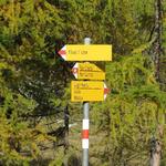 nach dem Abzweig nach Curtins 1968 m.ü.M....