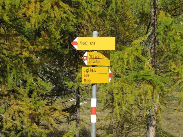 nach dem Abzweig nach Curtins 1968 m.ü.M....