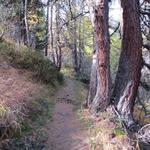 ...beginnt der Weg stärker anzusteigen