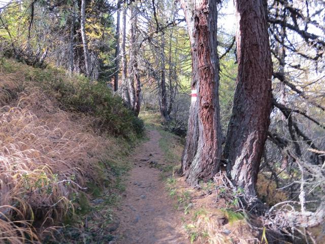...beginnt der Weg stärker anzusteigen