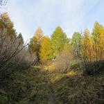 bis jetzt verlief der Wanderweg alles im Schatten. Nun erreichen uns die ersten wärmenden Sonnenstrahlen