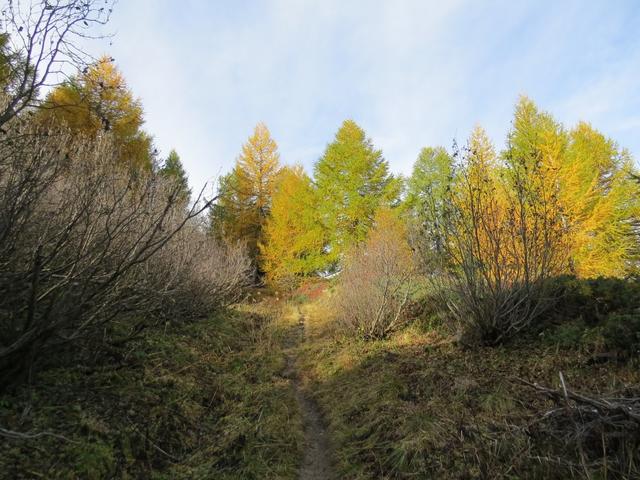 bis jetzt verlief der Wanderweg alles im Schatten. Nun erreichen uns die ersten wärmenden Sonnenstrahlen