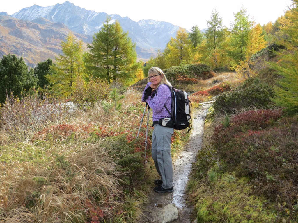 meine Maus geniesst die wärmende Sonne
