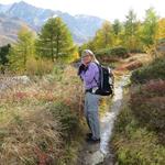 meine Maus geniesst die wärmende Sonne