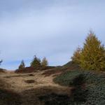 ...weiter aufwärts bis zu einer ersten Kuppe des Muott' Ota 2085 m.ü.M.