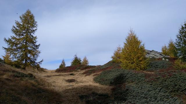 ...weiter aufwärts bis zu einer ersten Kuppe des Muott' Ota 2085 m.ü.M.