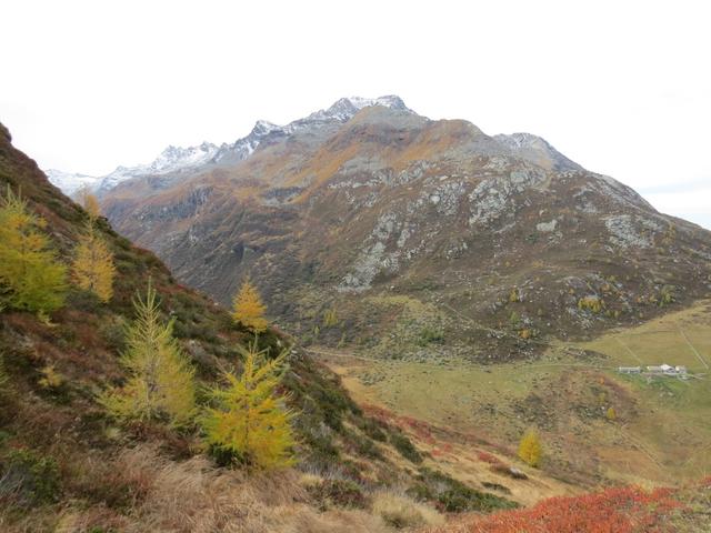 wir blicken hinunter ins das einsame Val Fedoz mit dem Piz da la Margna
