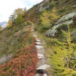 der gut ersichtliche Bergwanderweg ist nicht zu übersehen