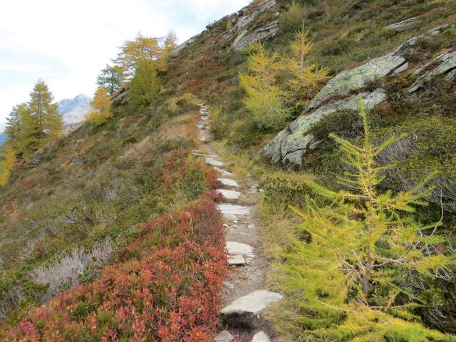 der gut ersichtliche Bergwanderweg ist nicht zu übersehen