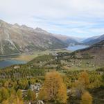 die Aussicht traumhaft. Zwischen dem Silsersee und Silvaplanersee liegt Sils-Maria