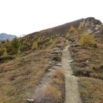 mässig steil, wandern wir über den Rücken, der Val Fex und Val Fedoz trennt, Richtung Gipfel