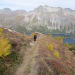 bei Punkt 2329 m.ü.M.