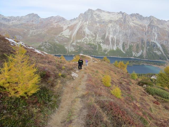 bei Punkt 2329 m.ü.M.