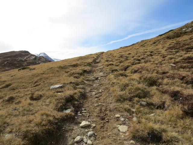 über den breiten Rücken des Muott' Ota geht es problemlos weiter aufwärts