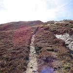 noch ein paar Schritte...