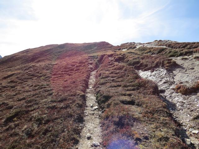 noch ein paar Schritte...