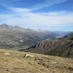 Blick auf die Engadiner Seenplatte mit Piz Julier, Piz Albana und Piz Nair, den haben wir auch schon besucht