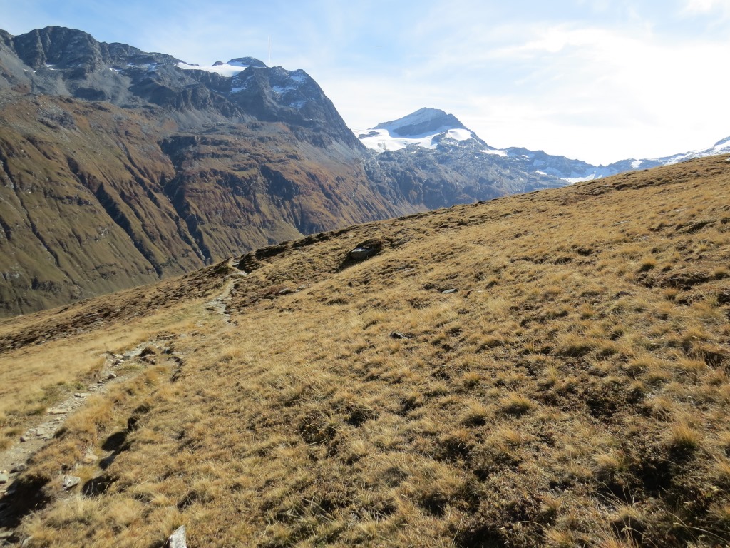 über Alpweiden wandern wir abwärts in das Val Fex
