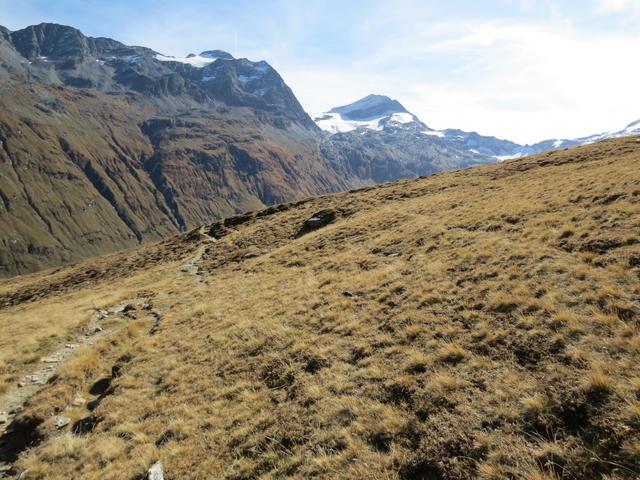 über Alpweiden wandern wir abwärts in das Val Fex