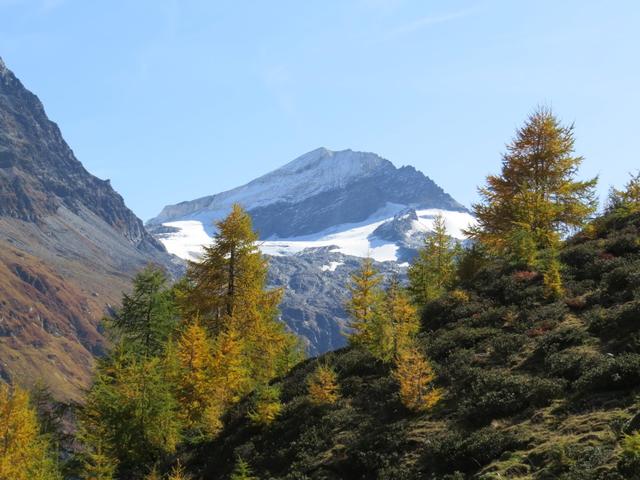 ...auf den Piz Glüschaint zu