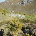 dann in recht steilem Zickzack durch Alpenrosen, hinunter zu den Gebäuden der Alp da Segl