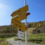 Wegweiser auf Alp da Segl 2058 m.ü.M. Hier biegen wir rechts ab Richtung Alp Muot Selvas