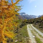 sanft ansteigend geht es nun weiter in das Tal hinein