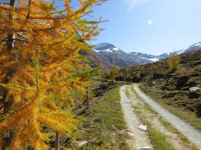 sanft ansteigend geht es nun weiter in das Tal hinein