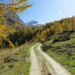 IMG_6175.JPG